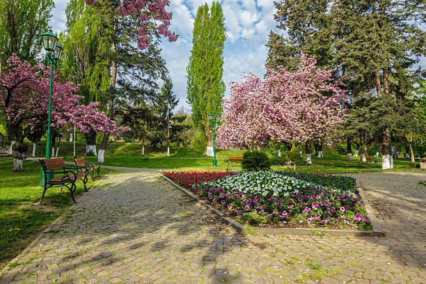 istock bench on the pavement in park 514219860