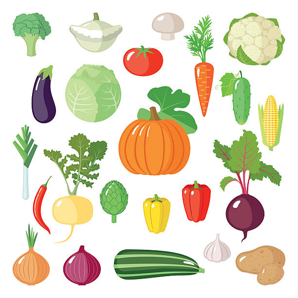 zestaw płaskie warzyw. - garlic freshness isolated vegetarian food stock illustrations