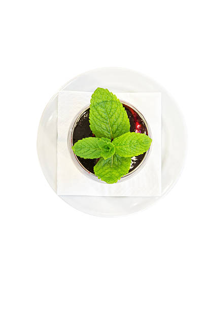 sweet rice desert sweet rice cream desert with raspberry sauce and mint on white background beatifull stock pictures, royalty-free photos & images