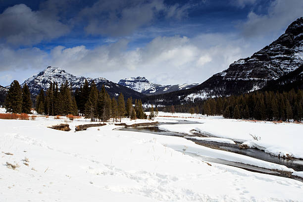 istock Yellowstone National Park Frozen Landscape. 514225032