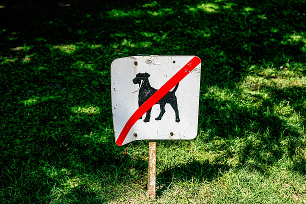 istock No Dogs allowed on the grass sign in Budapest, Hungary 514226046