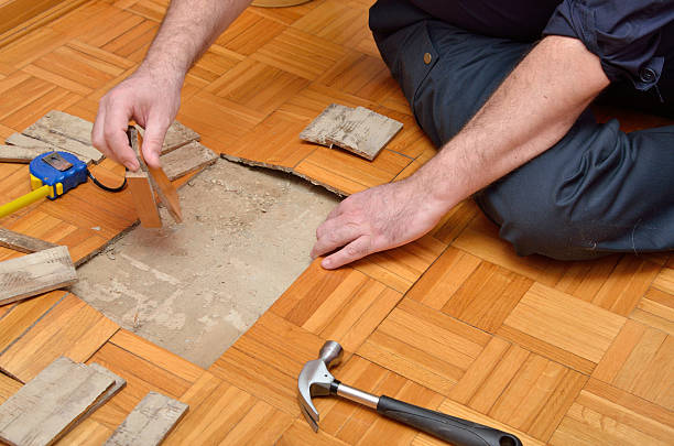 istock Fixing Parquet in the Apartment 514229092