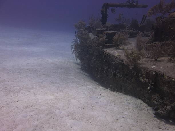 Caribbean Ship Wreck stock photo