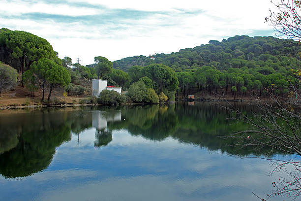 Park in the morning. Reflections of trees in the lake.