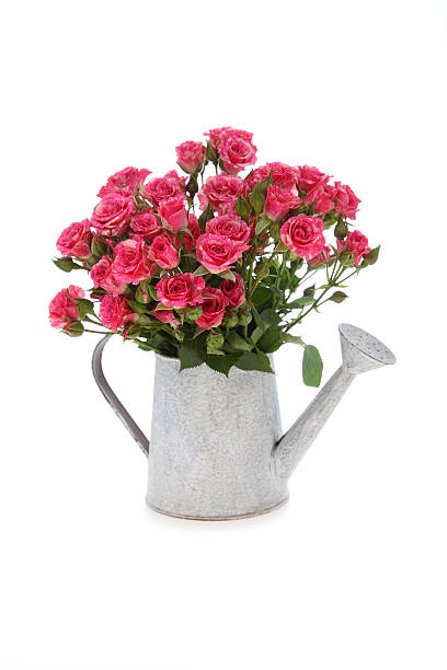istock Bouquet of pink roses 514232996