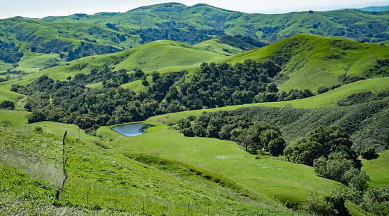 Rolling hills and vally along Green Valley Road in Cambria, California