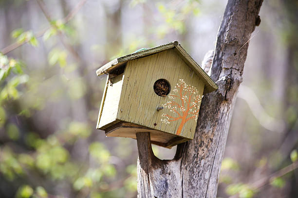 istock cute little green birdhouse 514234628