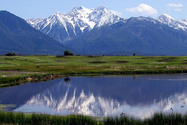 istock Panorama, Mission Mountains, Montana, Western US 514236784