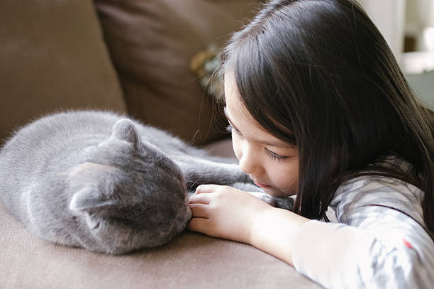 istock Little girl hanging out with her Scottish Fold cat 514236862