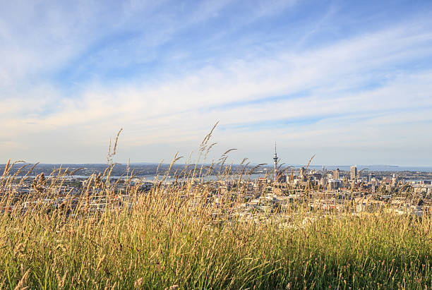 istock The scenic Auckland's city view from Mount Eden. 514237606