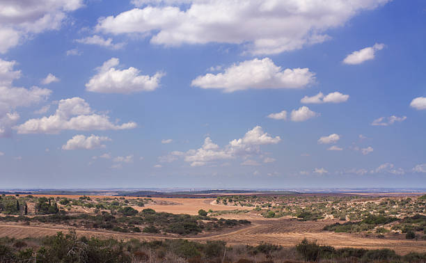 istock Valley in Israel.  Summer. 514247527