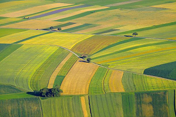Fileds Aerial view of agricultural fields cultivated land stock pictures, royalty-free photos & images