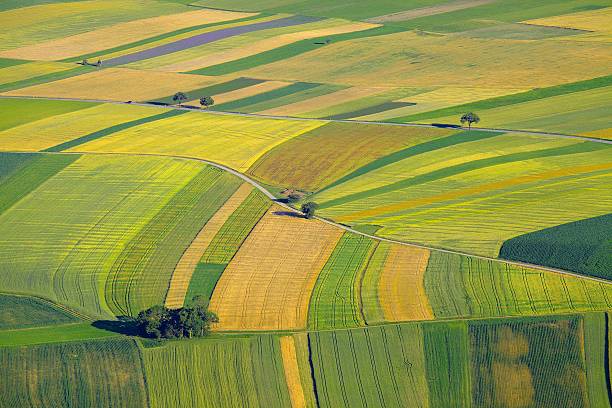 fileds - cultivated land farm land plowed field стоковые фото и изображения