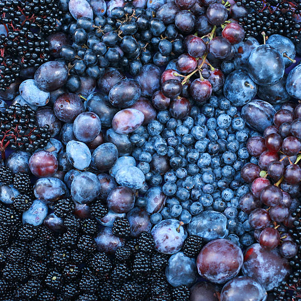 close-up de frutas roxo - currant food photography color image - fotografias e filmes do acervo