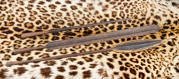 African Maasai lion spear heads on leopard skin.
