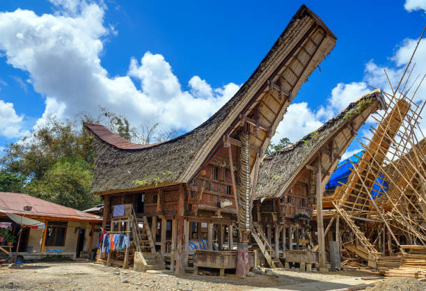istock Tongkonan traditional houses 514260446