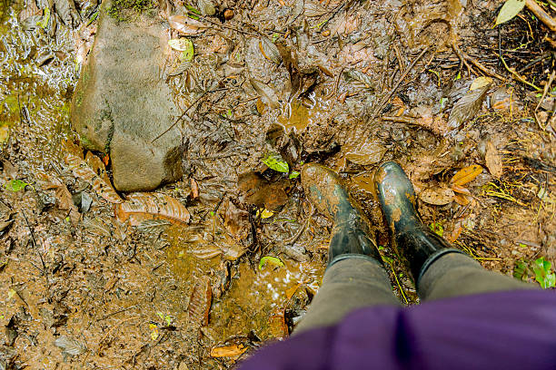 istock Woman in Muddy Boots Standing on Wet Rainforest Trail 514261570