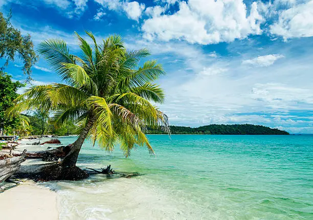 quiet empty paradise beach in koh rong island near sihanoukville cambodia