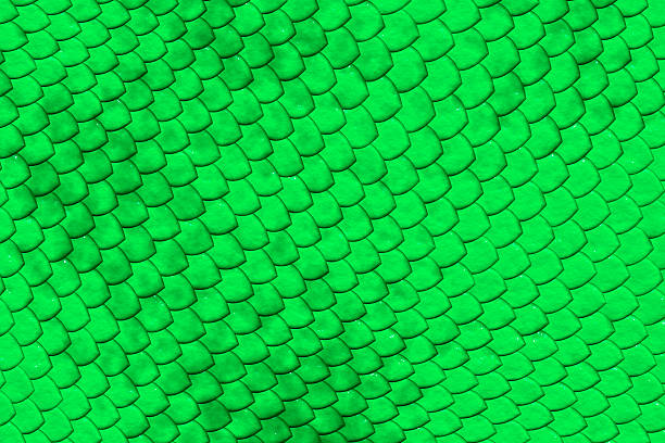 istock Green reptile skin 514268515