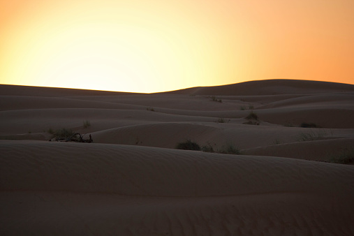 Sunset in Wahiba Sands desert in Oman. Sand, dunes and a magical scenery