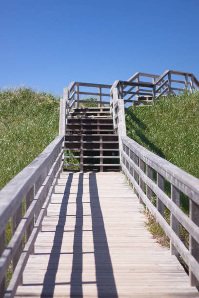 istock Wooden staircase leading to blue sky 514269155