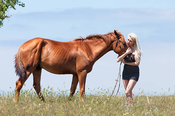 istock Blonde woman stroking gelding 514269684