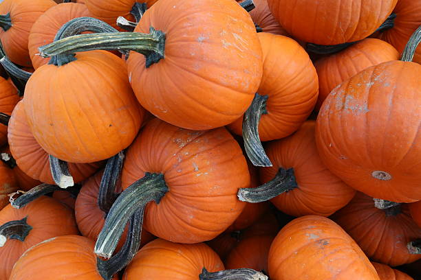 hallooween y calabaza - halloween pumpkin jack olantern industry fotografías e imágenes de stock