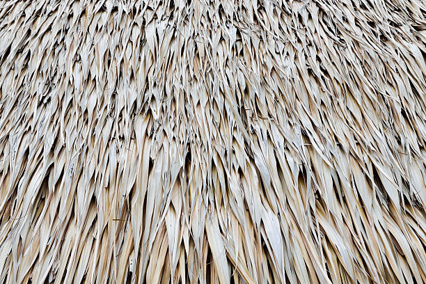 istock Tropical thatch old roof for background 514269768