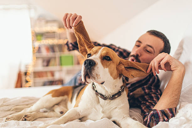 istock Man and his dog fooling around 514270863
