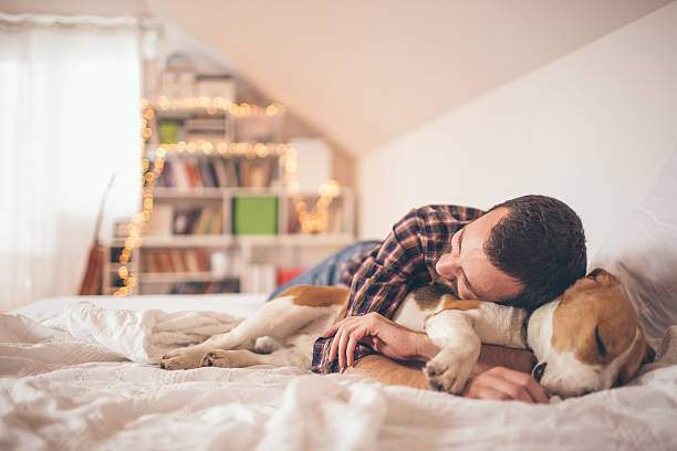 istock Man and his dog having a nap 514270869
