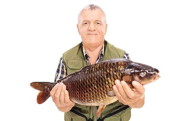 istock Mature fisherman holding a freshwater fish 514270973