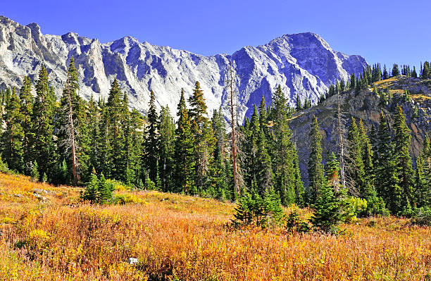 Colorado 14er, Capitol Peak in Autumn colors, Elk Range