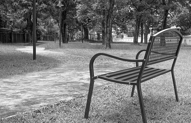 istock wooden park bench at the public park image 514272319
