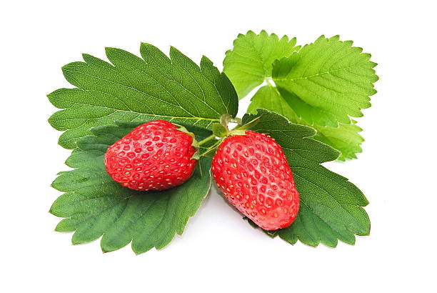 istock Fresh strawberry fruit with green leaves 514272344
