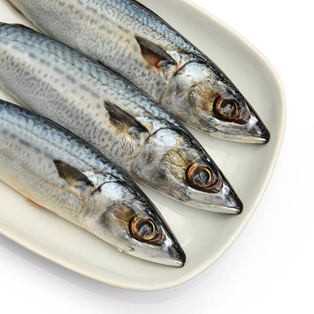 istock Fresh fish Mackerel, tuna, saba, in white plate 514272447