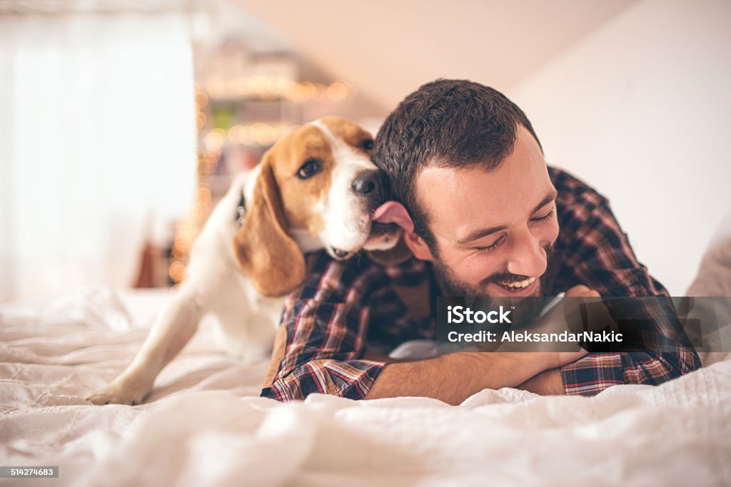 Man and his dog Young smiling man affectionate with his dog  Dog Stock Photo