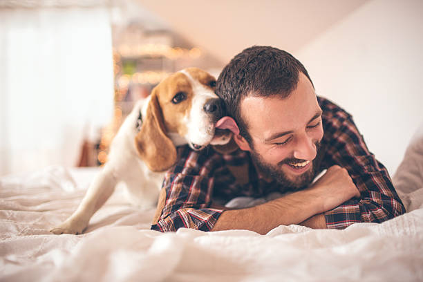 Man and his dog Young smiling man affectionate with his dog  canine animal stock pictures, royalty-free photos & images