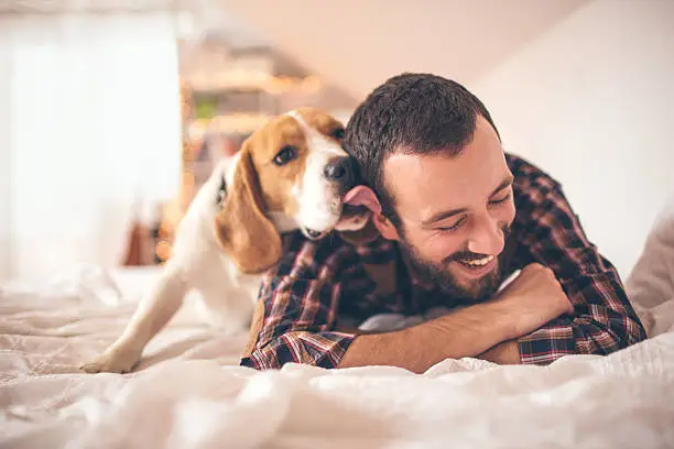 Photo of Man and his dog