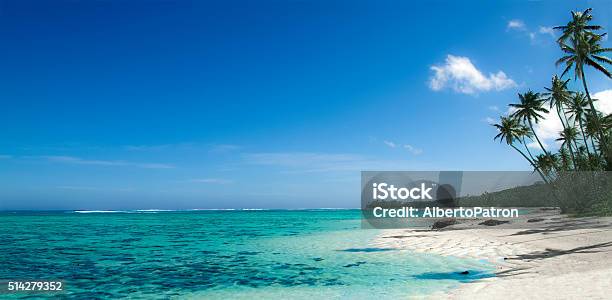 Fiji Beach A Dream Come Thru Stock Photo - Download Image Now - Fiji, Suva, Capital Cities