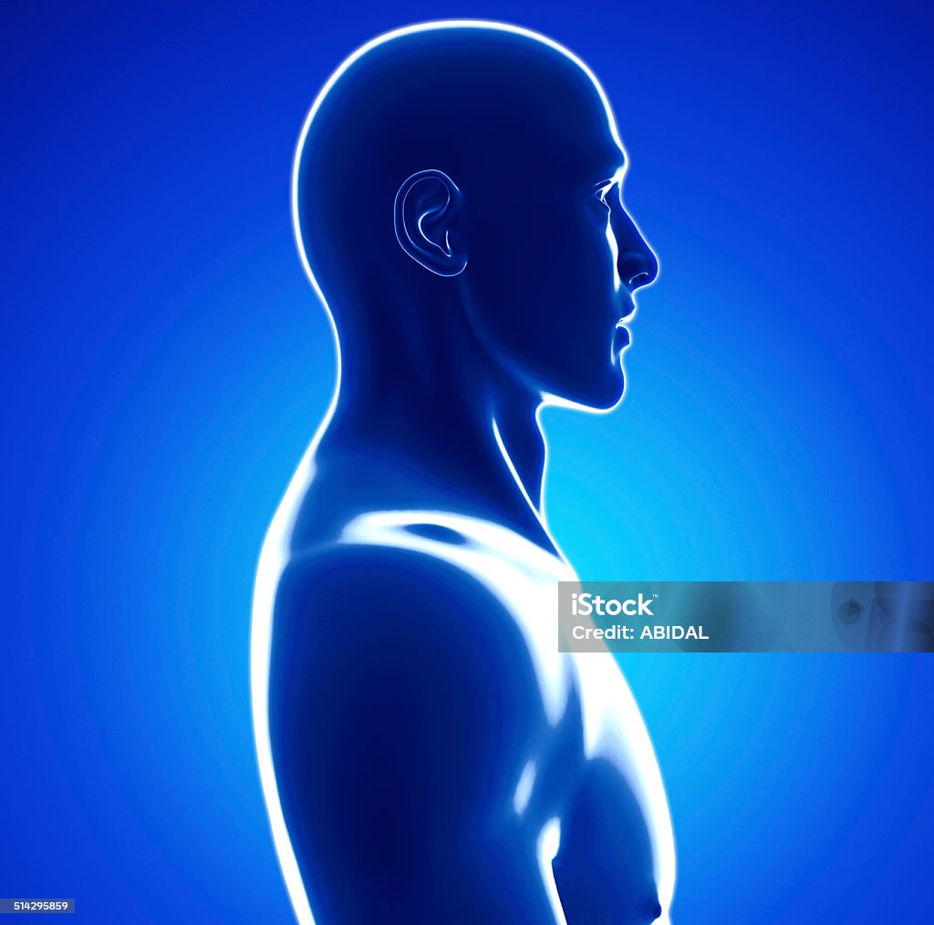 Human body Male anatomy of human brain background Human body x-ray view Computer Graphic Stock Photo