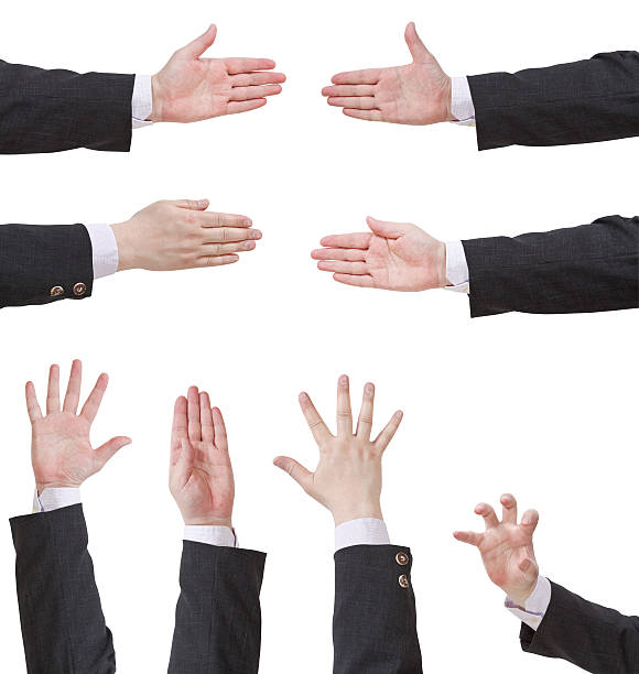 istock set of palms with five fingers 514296203