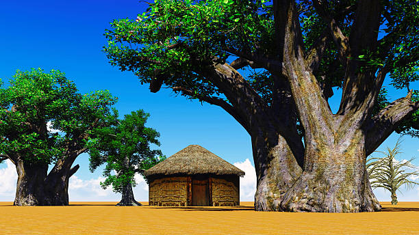 африканской деревни - african baobab стоковые фото и изображения