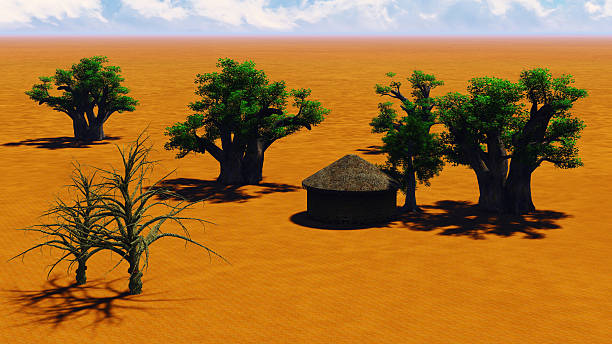 African village African village With baobabs and hut senegal photos stock pictures, royalty-free photos & images