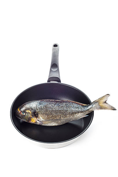 istock Gilt-head sea bream fish on a pan isolated 514299039