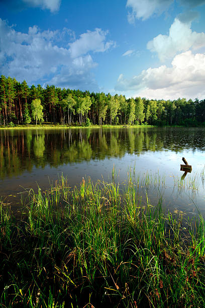 Kashubian lake in the afternoon sun in the rain