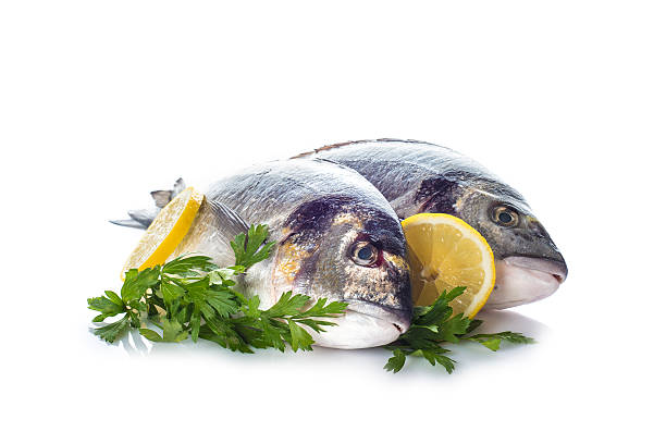 gilt -head 鯛魚の絶縁 - rosemary herb isolated ingredient ストックフォトと画像
