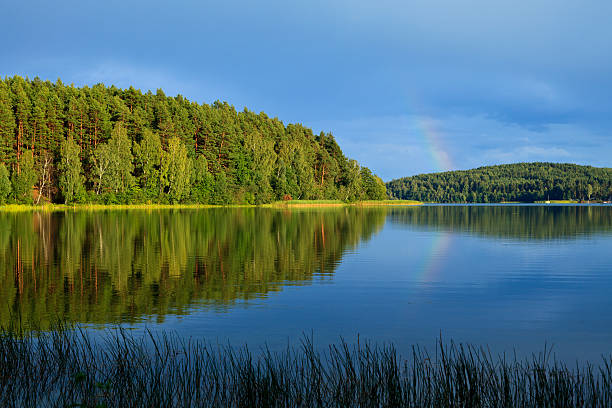 Kashubian lake in the afternoon sun after rain