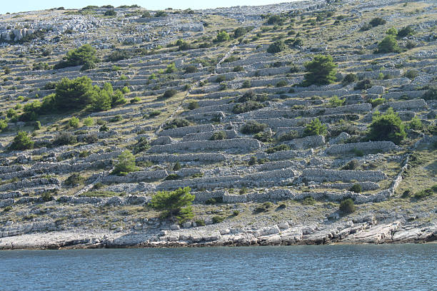Dry stone walls on Kornati islands (Croatian National Park)