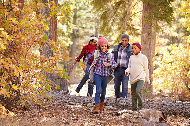 祖父母、お子様を歩いて秋の森 - family grandmother multi generation family nature ストックフォトと画像