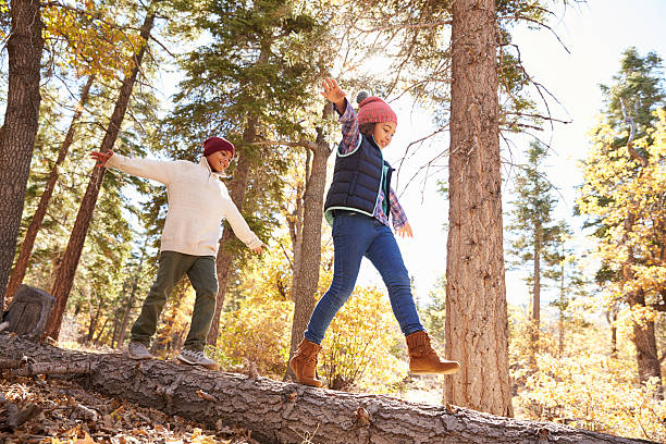 Children Having Fun And Balancing On Tree In Fall Woodland